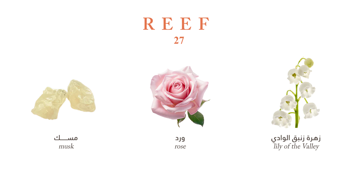 Reef 27